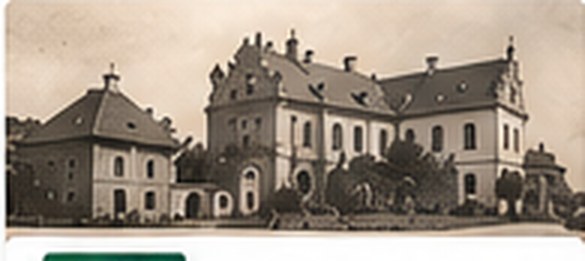 Pałac w Sadkowie — materiał do opracowania — grafika demonstracyjna motywu Sadków